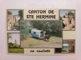 Vendée - CANTON De SAINTE-HERMINE En Roulotte Boucherie, Eglise, Fontaine, Porche, Promenade En Roulotte - Sainte Hermine