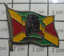 2222 Pin's Pins / Beau Et Rare / THEME : MUSIQUE / DRAPEAU JAMAIQUE BOB MARLEY REGGAE - Musique