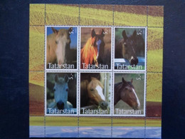 TATARSTAN 2003 BLOC 6 TIMBRES - CHEVAUX DIVERS - Nuovi