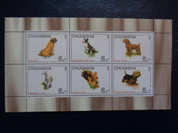 CHUVASHIA 1998 BLOC 6 TIMBRES - CHIENS DIVERS - Unused Stamps