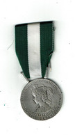 MEDAILLE HONNEUR  COMMUNALE - DEPARTEMENTALE - REGIONALE  Nominative 1993  Dégré Argent - Pas Courant - VOIR SCANS - Professionnels / De Société