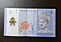 A4 MALAYSIA  BILLETS DU MONDE WORLD BANKNOTES  1 RINGGIT - Malaysie