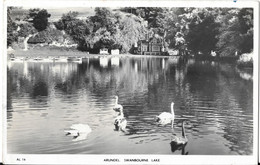 ARUNDEL - Swanbourne Lake - Arundel