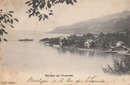 Suisse (6083) - Lac De Thoune - Thoune / Thun