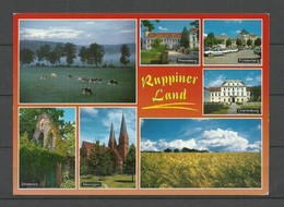 Deutschland 1999 Ansichtskarte RUPPINER LAND (gesendet Nach Estland , Mit Briefmarke) - Neuruppin