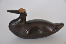 CANARD EN BOIS - Uccelli - Anatre