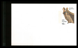 USA - Cartolina Intero Postale -  POLENA - 1981-00