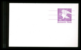 USA - Cartolina Intero Postale -  DOMESTIC RATE - 1981-00