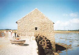 MOULIN à Marée Du BERNO - île D'ARZ - Tirage Limité 400 Expls - VENTE DIRECTE X - Ile D'Arz