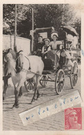 MARSEILLE - Un Bel Attelage Dans Une Rue De La Ville En 1948  ( Carte Photo ) - Ohne Zuordnung