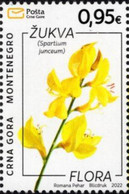 Montenegro - 2022 - Flora - Rush Broom - Spartium Junceum - Mint Stamp - Montenegro