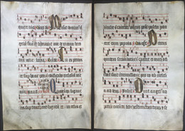 Very Rare Large Elephant Folio Vellum Sheet. Out Of An Antiphonary Manuscript From The 15th Century. / Seltene - Teatro & Sceneggiatura
