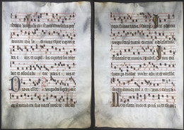 Very Rare Large Elephant Folio Vellum Sheet. Out Of An Antiphonary Manuscript From The 15th Century. / Seltene - Théâtre & Scripts