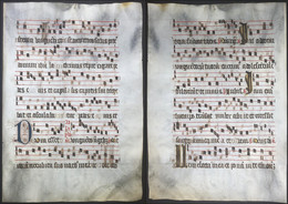 Very Rare Large Elephant Folio Vellum Sheet. Out Of An Antiphonary Manuscript From The 15th Century. / Seltene - Teatro & Sceneggiatura