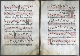 Very Rare Large Elephant Folio Vellum Sheet. Out Of An Antiphonary Manuscript From The 15th Century. / Seltene - Teatro & Script