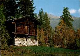 Stadel - Feriendorf Fiesch (1218) * 4. 4. 1977 - Fiesch