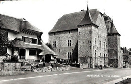 Anthisnes - Le Vieux Château (Edit. Maison Thioux Istas) - Anthisnes