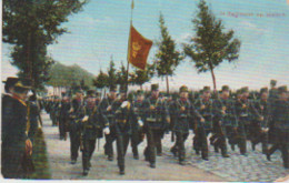 Militaria . 7ème Regiment (Hollande ?) Op Marsch (avec Drapeau) - Regiments