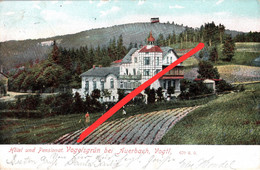 AK Vogelsgrün Hotel Pensionat Pension Gasthof A Bad Reiboldsgrün Schnarrtanne Grünheide Rodewisch Auerbach Vogtland - Auerbach (Vogtland)