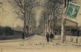 13)    PELISSANNE - Boulevard Gambetta - Pelissanne