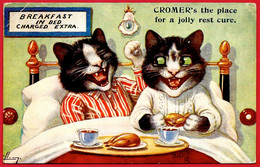 En L'état CPA Illustrateur TUCK'S ** Breakfast In Bed CROMER's The Place For A Jolly Rest Cure. ** Cat Chat Chats Cats - Katten