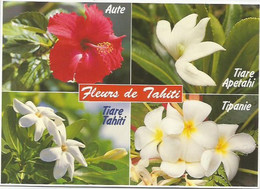 CPM Fleurs De  Tahiti - Polynésie Française