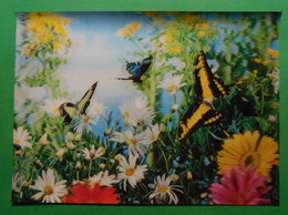 3D Postcards - Butterflies - Cartes Stéréoscopiques