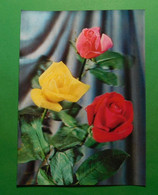 3D Postcards - Roses 3 Couleurs - Cartes Stéréoscopiques