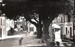 83 - La Garde Freinet - Place Vieille Et Grande Rue (Combier) - La Garde Freinet