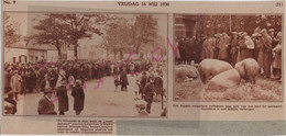 Vilvoorde - KRANTENKNIPSEL Uit 1930 Van De Jaarmarkt (op Kaart Gekleefd 23,5 Cm Op 11,2 Cm (portokosten 2 Euro !!) - Vilvoorde