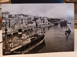 2 Cartoline Savona Anni 50, Piroscafi In Porto E Panorama - Savona