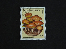 BURKINA FASO YT 678 OBLITERE - CHAMPIGNON MUSHROOM - Burkina Faso (1984-...)