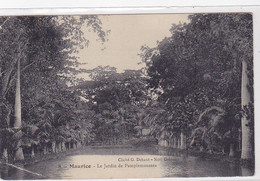 Cpa-afr- Ile Maurice -- Jardin De Pamplemousses -edi Dehaut N°8 - Maurice