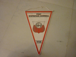 Pfadi Winterthur Handball Switzerland Swiss Team Captain Pennant - Handball