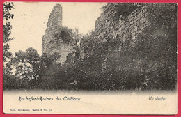 C.P. Rochefort = Ruines  Du  Château  :  Un  Donjon - Rochefort