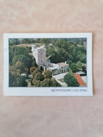 Vue Aérienne - Le Château De Montendre - Montendre