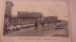 75 PARIS XIX EME ABATTOIRS DE LA VILLETTE DEBARQUEMENT DES PORCS - Distrito: 19