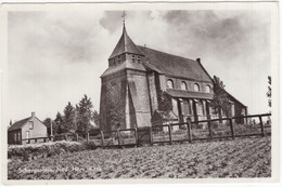 Scherpenisse. Ned. Herv. Kerk - (Tholen, Zeeland, Nederland) - Tholen