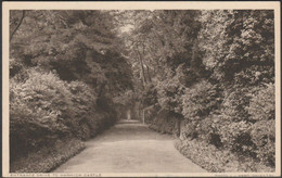 Entrance Drive To Warwick Castle, C.1940s - JJ Ward Postcard - Warwick