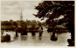 WILTS - SALISBURY - CATHEDRAL AND RIVER Wi446 - Salisbury