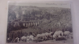 89 Carte Photo CHASTELLUX YONNE CHATEAU PONT MOUTONS TROUPEAU  BERGERS - Other & Unclassified