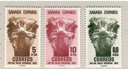 Spanish Sahara 1952, Bird, Birds, Set Of 3v, MNH** - Struisvogels