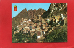 ESPAGNE---AYNA---PICARZOS  Vista Parcial--voir 2 Scans - Albacete