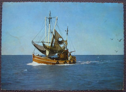Fischerboot - Pêche