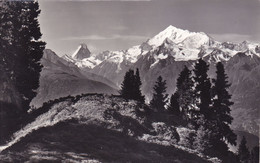 1235/ Riederalp, Aletschgebiet, Riederhorn Matterhorn Und Weisshorn - Riederalp