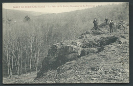 Forêt De Perseigne ( Sarthe ) Le Puits De La Roche ( Commune De Fresnaye) -     Bcc 218 - La Fresnaye Sur Chédouet