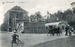 Morlanwelz La Station Cycliste Attelage Avec Chevaux Voyagé En 1906 - Morlanwelz