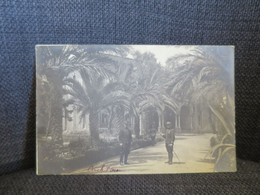 ORAN (Algérie) Carte Photo Jardins Du Cercle Militaires - Oran