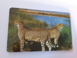 Namibia - Cheetah Acinonyx Jubatus Leopard MINT In Blister - Namibië