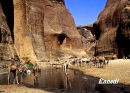 Chad Ennedi Canyon New Postcard - Tschad